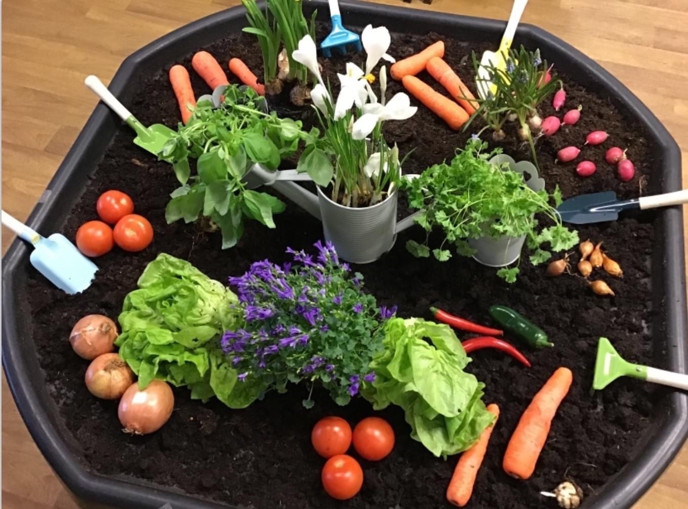 Durham Nurseries Busy Bears Day Nursery